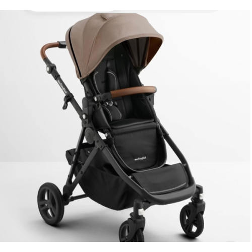 Single-to-Double Stroller 3.0