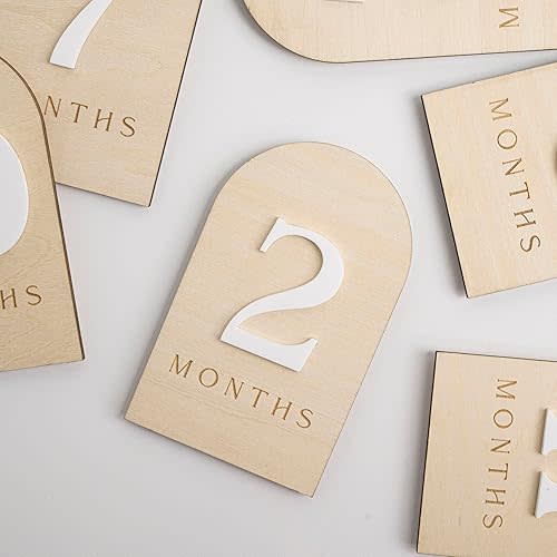 Baby Monthly Milestone Photo Sign, Wooden Floral Design with Pink Bows, Baby Girl Growth Tracker, 1-12 Months (Arch)