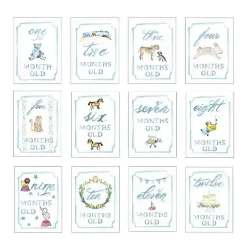 Monthly Milestone Card Set – Over The Moon Gift