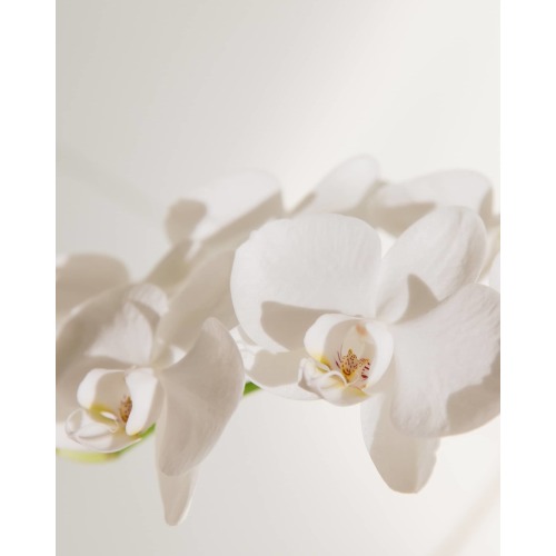 Hapai Pregnancy Massage - Prenatal Care | Four Seasons Resort Oahu