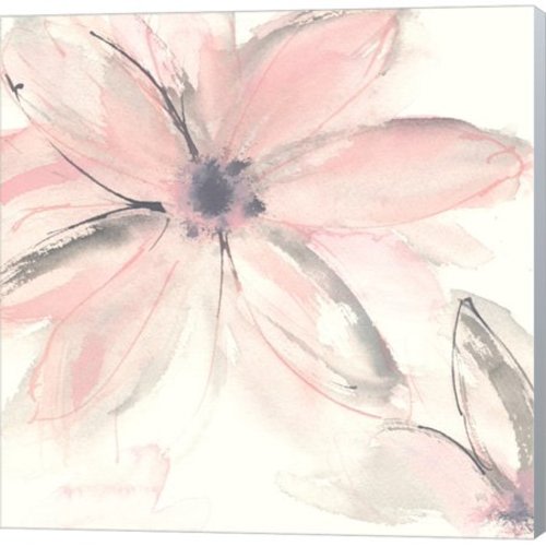 Blush Clematis II by Chris Paschke, Canvas Wall Art - 12 x 12