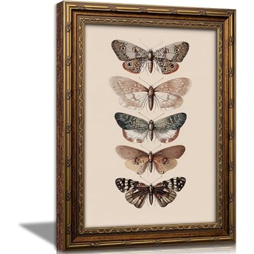 Vintage Gold Framed Butterfly Canvas Wall Art,Retro Moody Moth Painting Picture Wall Decor,Cottagecore Antique Insect Poster Print Artwork,for Living Room Bedroom Home Decoration,