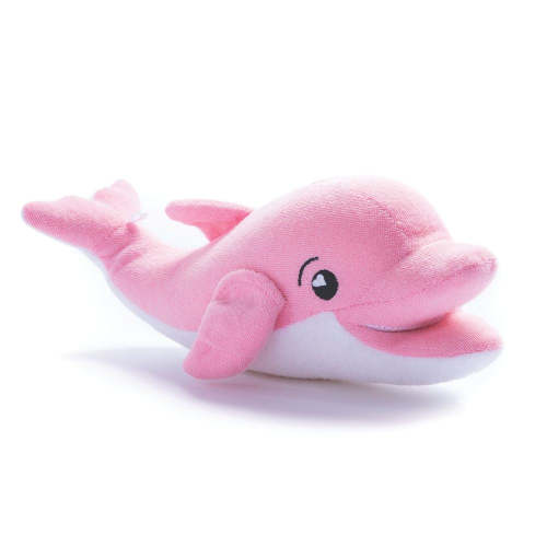 Ava the Dolphin