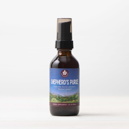 Shepherd's Purse Tincture: Promotes Women's Health & Immunity