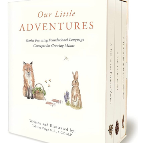 Our Little Adventures: Stories Featuring Foundational Language Concepts for Growing Minds (Tabitha Paige Children's Book Series)