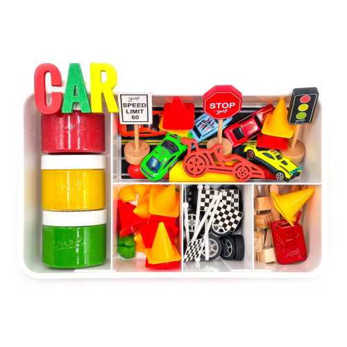 Car Sensory Kit