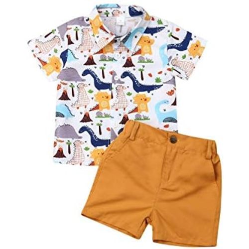 VISGOGO Toddler Baby Boy Flamingo Short Sleeve Button Down Shirt & Casual Shorts Set Summer Outfits 1-6 Years Clothes