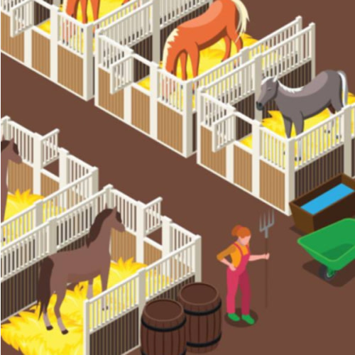 Cleaning Stalls/Feeding