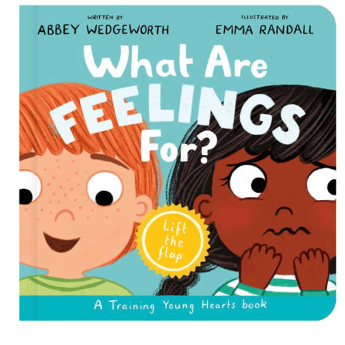 What Are Feelings For? Board Book: A Lift-the-Flap Board Book (Christian behavior book for toddlers encouraging emotional health and resilience.) (Training Young Hearts)