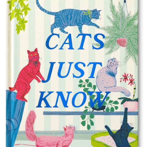 Cats Just Know