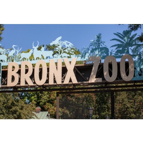 Memberships - Bronx Zoo