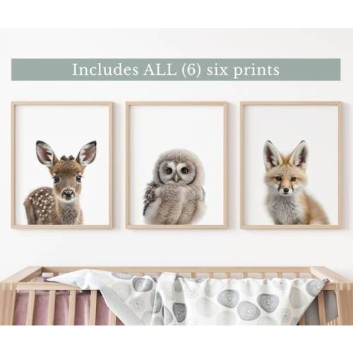 Cute Baby Animals Set of 6 Woodland Creatures Prints Outdoor - Etsy