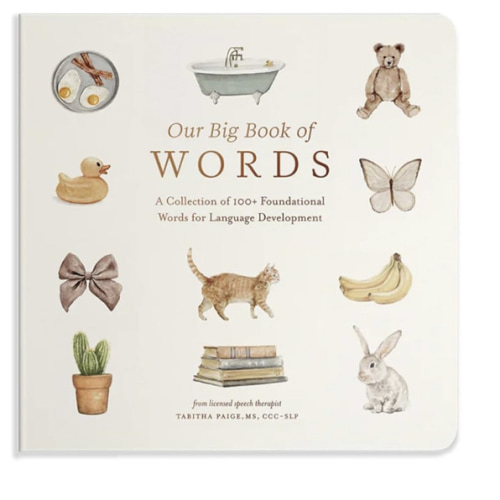 Our Big Book of First Words: A Collection of 100+ Foundational Words for Language Development (Tabitha Paige Children's Book Series)