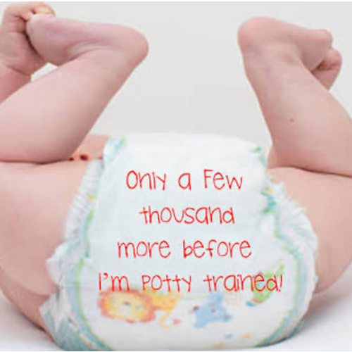 Charlie's Diaper Fund
