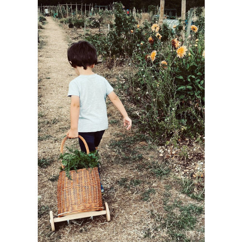 Natural Wicker Kids Trolley: Pull-Along Shopping & Toy Basket