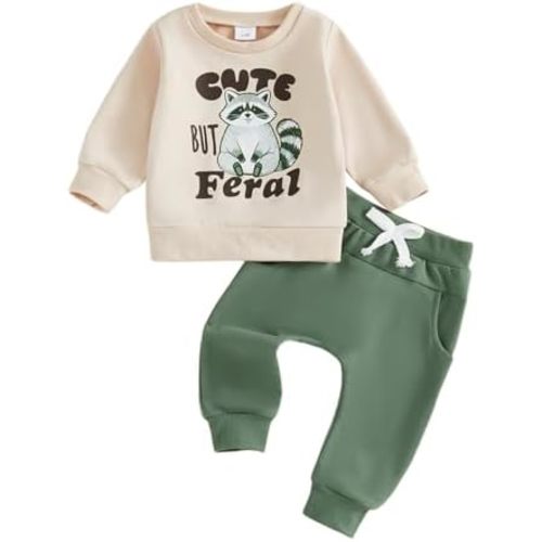 Kupretty Toddler Baby Boys Clothing Set Fashionable Long Sleeve Raccoon Printed Pullover with Pants 2Pcs Fall Outfits