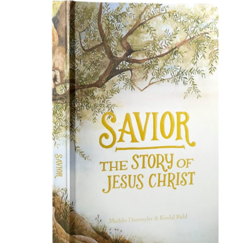 Savior: The Story of Jesus Christ
