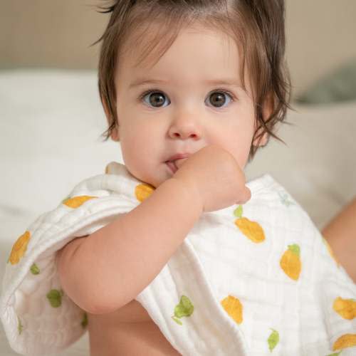 aden + anais Organic Cotton Muslin Oversized Burpy Bib in Fresh Fruit