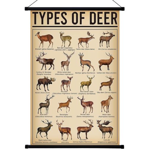 Geyee Deer Vintage Poster Wall Decor Deer Hunting Art Knowledge Picture Prints Wall Decor for Home Kitchen Office Classroom Living Room Bedroom Frame, 15.8 x 23.6 Inch