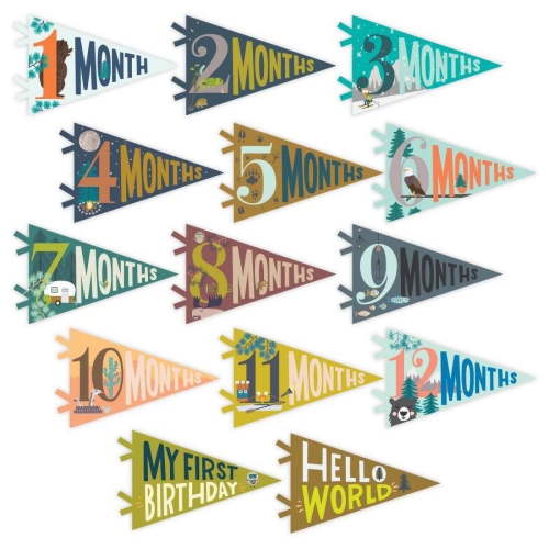 Lucy Darling Little Camper Petit 14 Piece Monthly Baby Milestone Photo Prop Pennants - Unisex