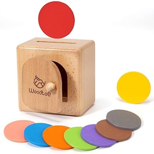 Woodtoe Montessori Coin Box for Toddlers, Montessori Toys for 1 2 3 Year Old, Fine Motor Skills Toys, Wooden Color Sorting Sensory Toy, Object Permanence Learning Matching Travel Game for Boys Girls