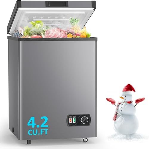 4.2 Cu.Ft Chest Freezer -  To keep extra breastmilk and premade meals while we are at the hospital