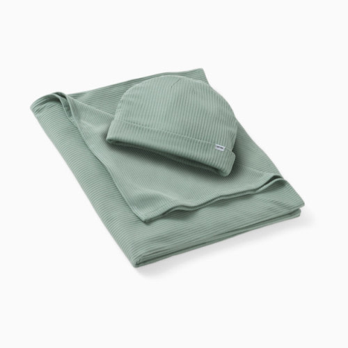 Little Sleepies Swaddle & Infant Beanie Set - Willow, One Size