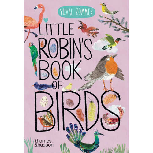 Little Robin's Book of the Birds