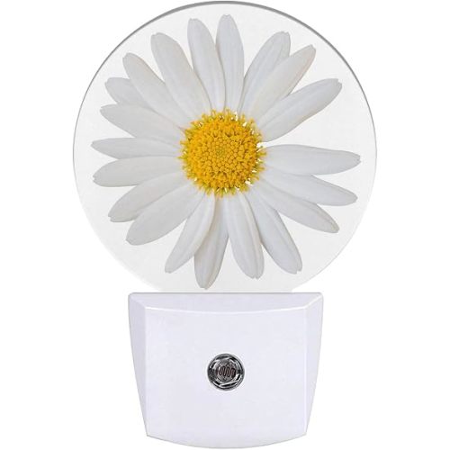 Daisy Night Light Chamomile Night Lights LED Lamp Round Plug into Wall Nightlight with Dusk to Dawn Sensor Home Hallway Stairway Kitchen Decor