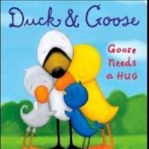Duck & Goose, Goose Needs a Hug