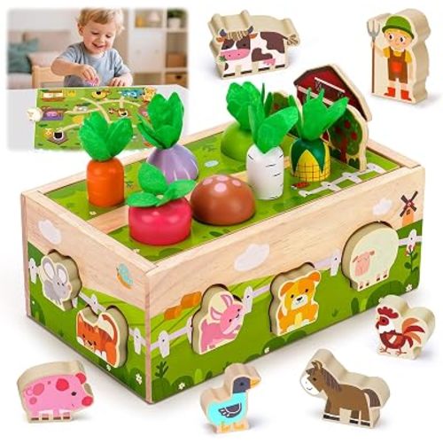 1 Year Old Girl Gifts, Montessori Wooden Toy for Toddlers 1-3, Baby Toys