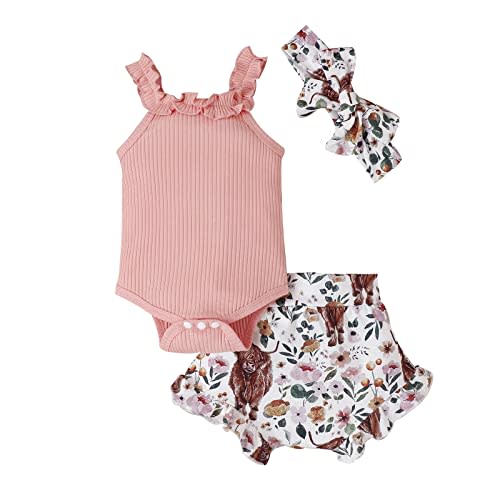fhutpw Baby Girl Clothes Summer Cute Outfits 3 6 12 18 Months Spaghetti Strap Romper & Floarl Shorts Sets