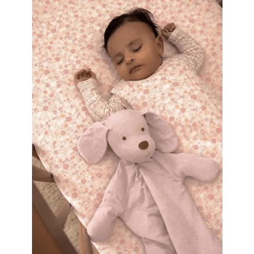 Transitional Swaddle Sleep Sack - Sorbet
