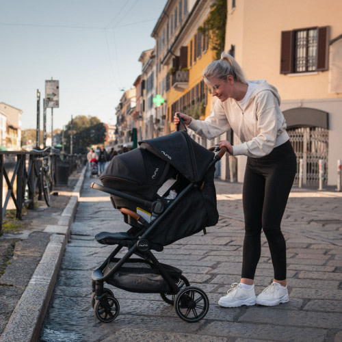 TRVL lx + PIPA urbn - Cedar