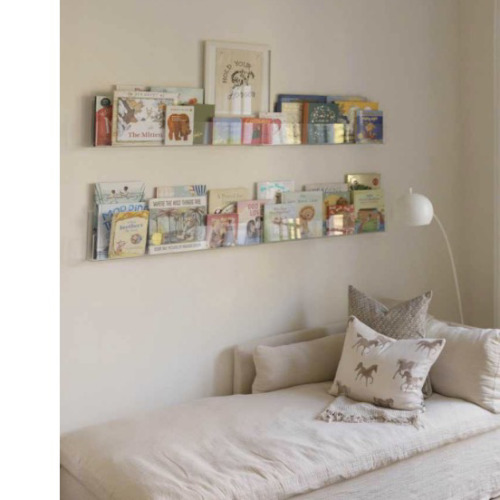 Now You See It Clear Acrylic Large Book Ledge
