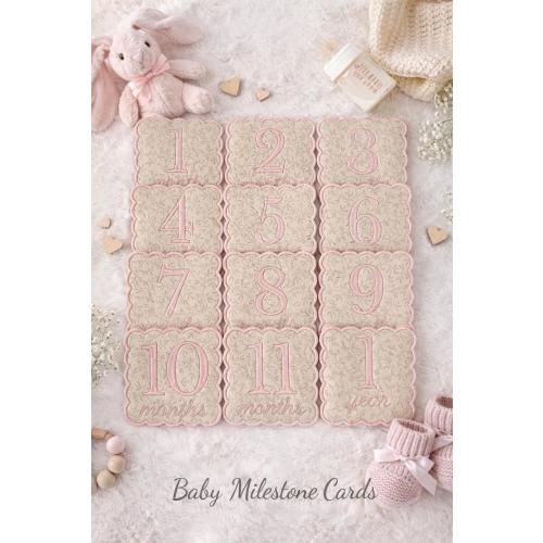 Embroidered Baby Milestone Patches | Pink and Neutral Photo Props + NameAnnouncement