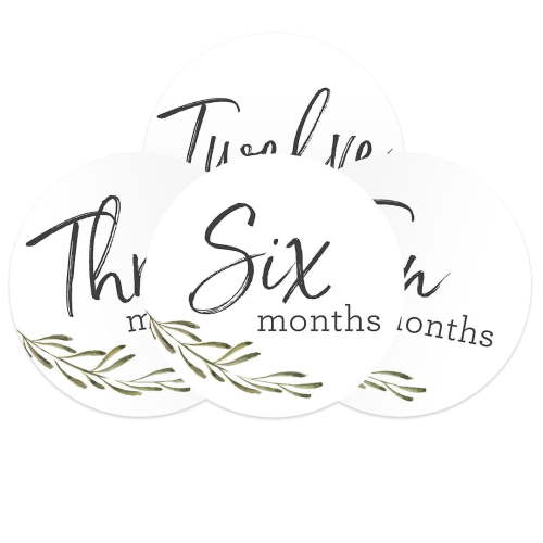 Greenery Baby Milestone Signs / Floral Monthly Milestones / Botanical Infant Photo Prop / 6 Baby Age Discs