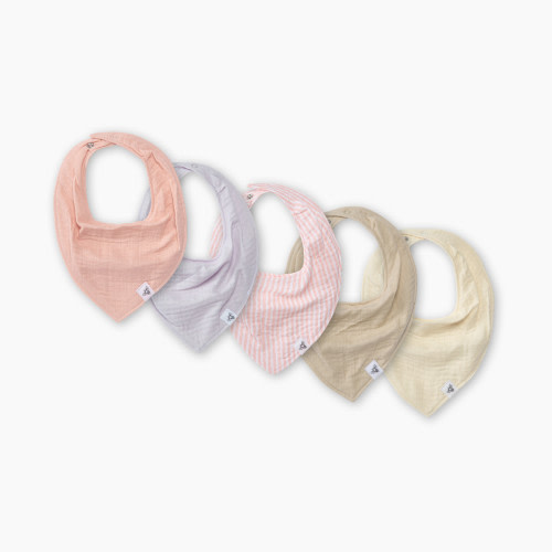Burt's Bees Baby Set of 5 Bandana Bibs - Pink, One Size