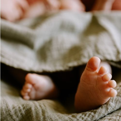 Newborn Photos Fund