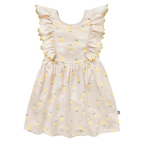 Modern Moments Toddler Girl Ruffle Sleeve Dress with RicRac Trim, Sizes 12M-5T