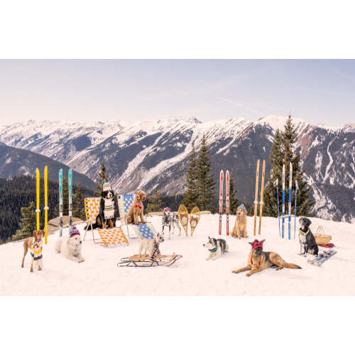 Dogs of Aspen
