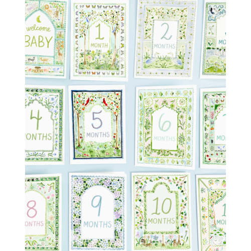 Baby Milestone Cards: Whimsical Set