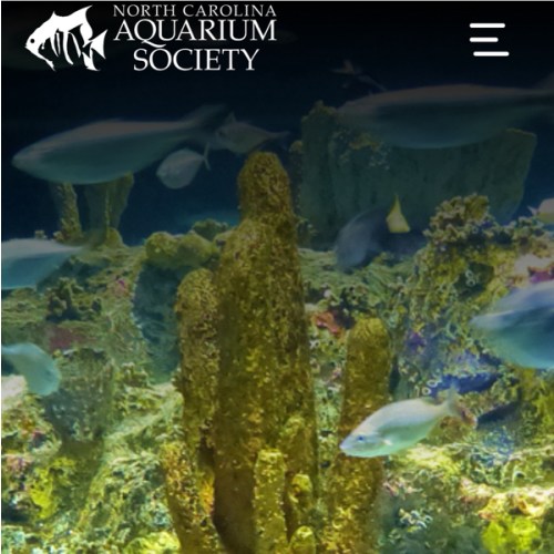North Carolina Aquariums - Gift Cards