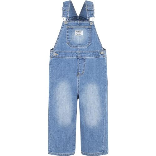 Levi's Baby Boys' Denim Overall, Basil Sky, 3 Months