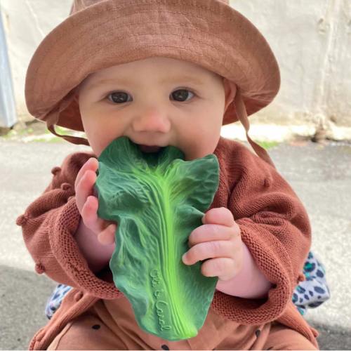 Oli and Carol Kendall the Kale Teething Toy