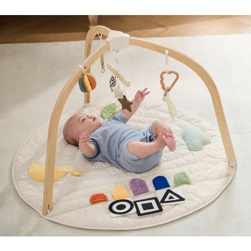 Interactive Activity Gym