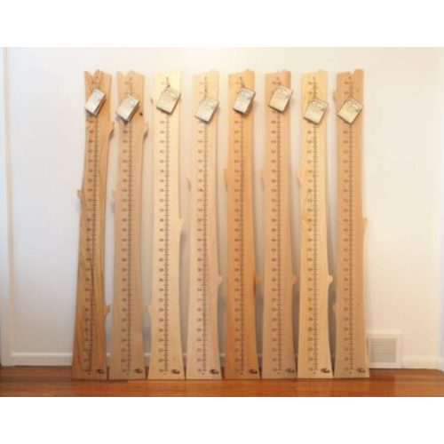 Growth Chart - Ash - Unfinished - Wood From The Hood