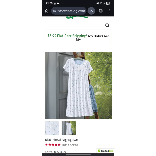Blue Floral Nightgown