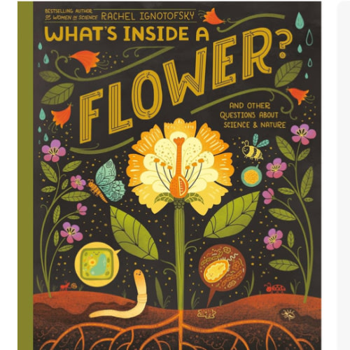 What's Inside A Flower?: And Other Questions About Science & Nature