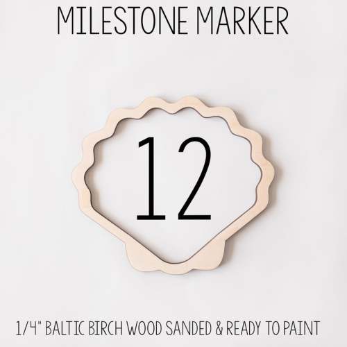 Seashell Milestone Marker, Baby Milestone Blanket Marker, Baltic Birch Wood Milestone Marker, Blanket Monthly Marker, Photo Prop, Sea Turtle - Etsy